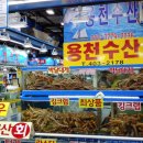 가락시장할인마트 | 가락시장 킹크랩 맛본 생생 후기 신선도부터 서비스까지 모두 만족했던 용천수산
