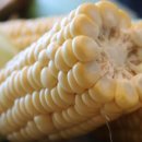 현선농장 이미지