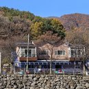 구산회관 Daum카페