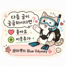 재규어헤어 | 프리다이빙 마스크·스노클 추천! 입문자가 꼭 알아야 할 선택 기준