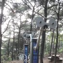 목뼈가 아팠던 사람 이미지