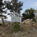 상운메밀촌 | 🍜 강원도 양양 풍자 또간집 1등! 상운메밀촌, 육개장메밀칼국수 솔직 후기! (feat. 보쌈, 메밀전병)