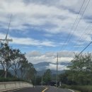 베리코스 이미지