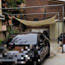 올어바웃도그 이미지