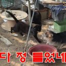 싸우다 정들었네! 이미지