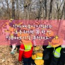 초롱유치원 | 인천유치원, 인천유치원추천, 프로젝트유치원 '초롱유치원'