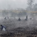 청성면다목적회관 이미지