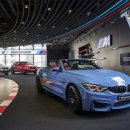 바이오퍼포먼스 이미지