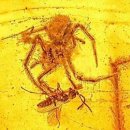 포항바다화석박물관 이미지