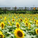 철만농장 이미지