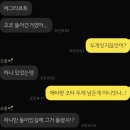 두메(DUME) | 속초｜디저트 맛집 두메 구황작물 타르트 내돈내산 후기