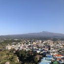세화3리경로당 | [제주 버스여행 3일차]제주 시내버스 타고 한라산부터 사려니숲,광치기,세화해변까지 경치 여행 코스