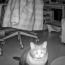 서초대로19길 10-1 이미지