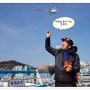 남항대교 하부 이미지