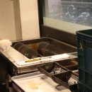 와와식당 이미지