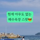 또와르키즈풀빌라 이미지