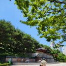 호구포근린공원 이미지