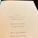 다듬체 이미지