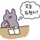 크레이지베이프 이미지