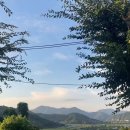 성심농장 이미지