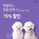 제주미싱 이미지