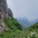 한계1리 이미지