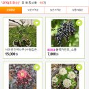 예일조경 이미지