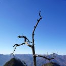 노송부동산 | 단양 도락산-3 도락산(道樂山)
