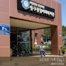 구평종합사회복지관 | 부산 어린이달 행사 ! 매년 기다리는 동구종합사회복지관 도란도란 가족Day 후기