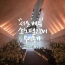 들마2 | 서울 강남 웨딩홀 투어 :: 소노펠리체 컨벤션, 육각형 베뉴, 26년 하반기 견적공유