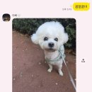 월