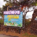 캠파제주 이미지