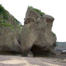 코끼리민박 이미지