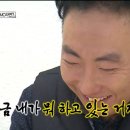 DC백화점 | DC IRP 퇴직연금 박곰희 포트폴리오 6개월 리밸런싱 후기