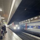 하양적벽돌 | 2025.07. 수원 당일치기