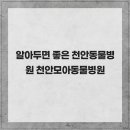 모아동물병원 | 알아두면 좋은 천안동물병원 천안모아동물병원