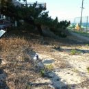 송정해변화장실 이미지