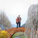 바램이머무는곳 이미지