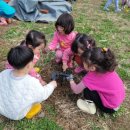 효성어린이집 이미지