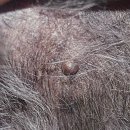 위너스 동물병원 이미지