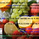 헬스라이프 팜
