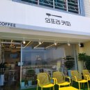 외포리커피