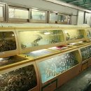 신사동-23 이미지