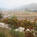 양평단월초등학교 이미지