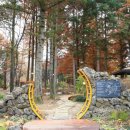 KB국민은행 맞은편 이미지