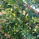 슬기로운행정사사무소 이미지