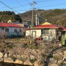 도랑당마을회관 | [체험기] 충남 부여 외가에서의 달래, 미나리, 쑥, 두릅 채취