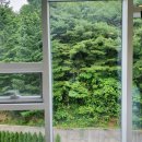 강원도 양양 여행 A to Z : 서핑·패들보드·숙소 후기