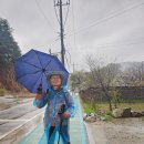 자등 3리 이미지