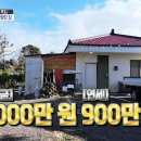 삼달리귤 이미지